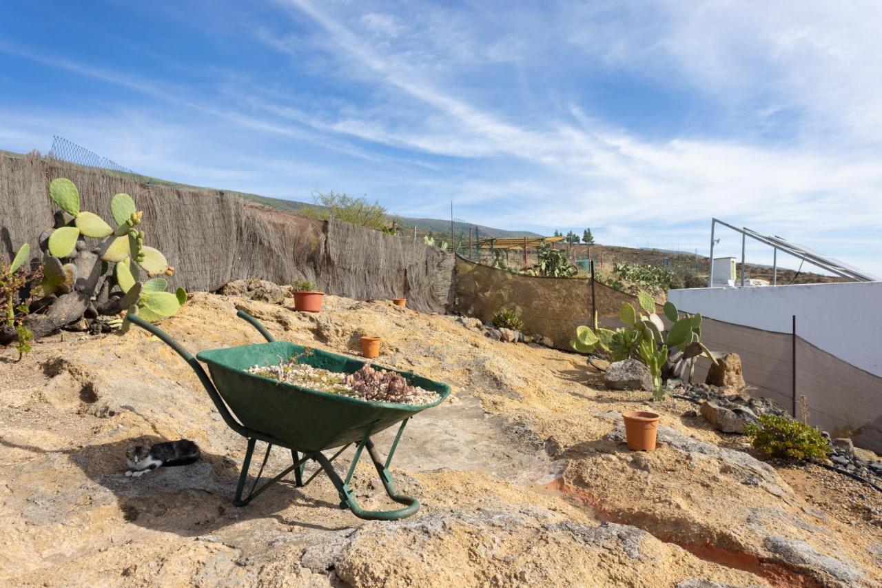 Casa Cueva Gaspara Arico Exteriér fotografie